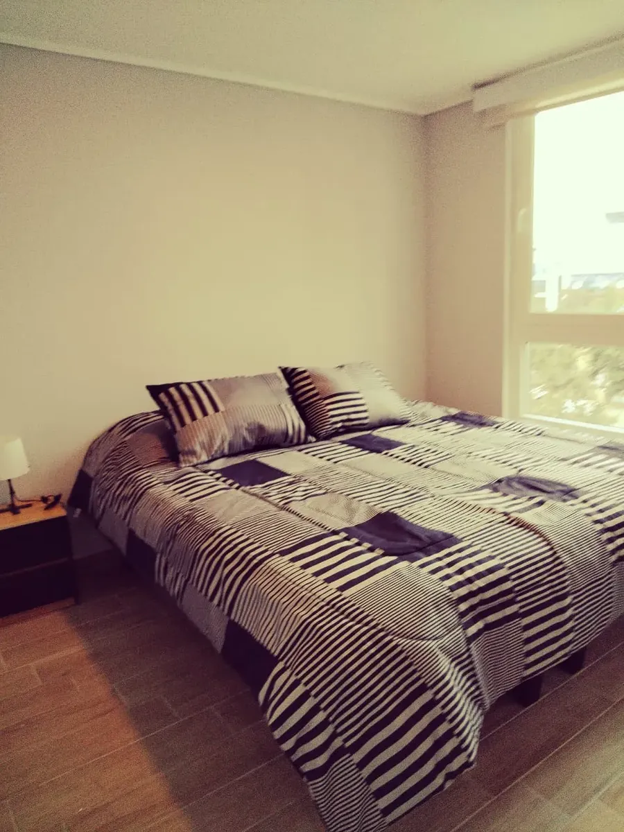 Imagen 4 de 24 de Arriendo Hermoso Depto 1d 1b Amoblado Stgo