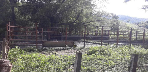 Imagen 4 de 18 de Hermosa Finca De 170has, En Yaracuy, Emss Vende