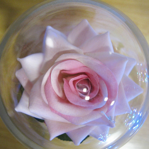 Flor Eterna Doble C/led Realista Colores San Valentin Color Rosa Claro