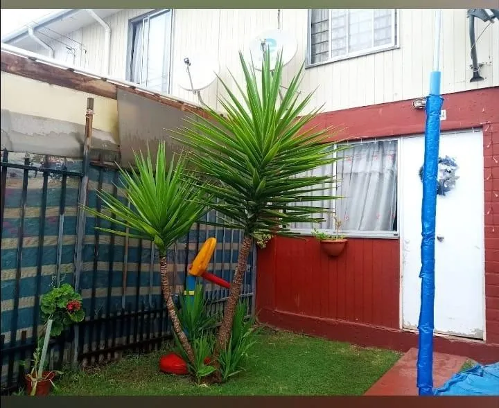 Imagen 3 de 16 de Excelente Oportunidad Casa 2 Pisos En Rancagua