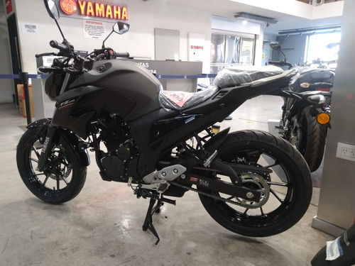 Imagen 3 de 8 de Yamaha Fz 25 0km 2023 Mg Bikes