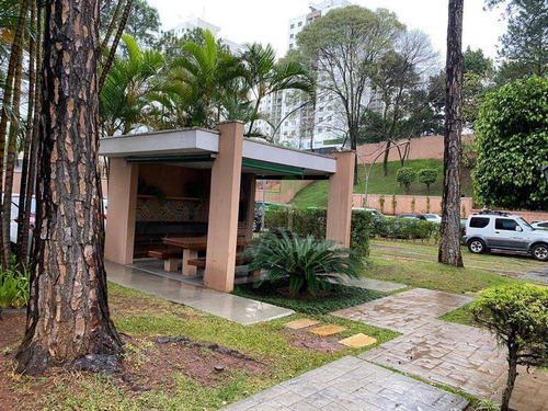 Apartamento À Venda, 65 M² Por R$ 415.000,00 - Vila Butantã - São Paulo/sp - Ap2049