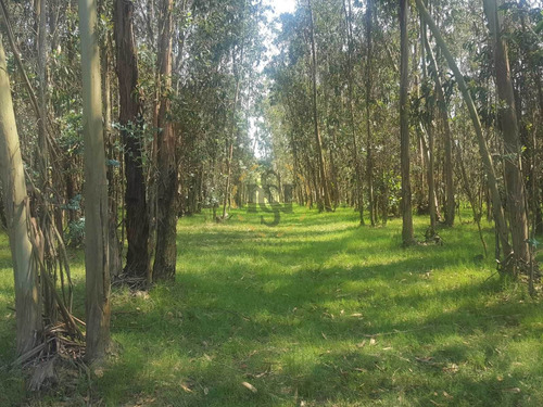 Venta Chacra Atlantida Turística Ideal Inversión Emprendimie