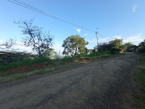 Venta Lote N° 1 En Parcelación Campestre Dapa