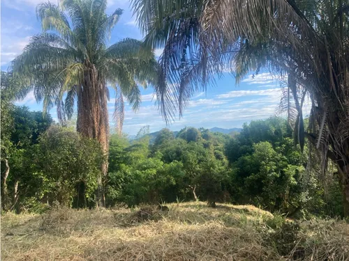 Vendo Lote En Anapoima