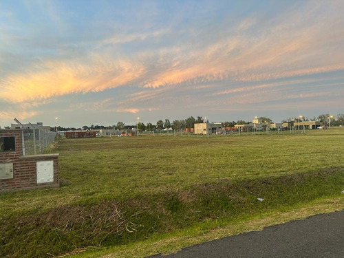 Terreno A La Venta En Barrio Los Alamos, Lujan