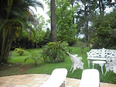 Rural - Venda - Santa Gertrudes - Cod. 81 - V81