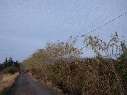 Propiedad Agrícola En Venta, Campo De 31,3 Ha, Rio Claro