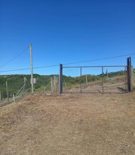 Vende Parcela De 5.200 Mt2, Con Luz Y Rol, Santo Domingo.