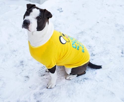 Tiempo De Aventura Jake Saliva Pet Camiseta: X-large