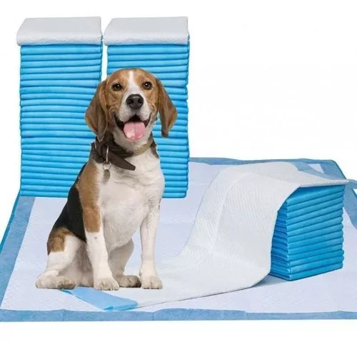 YORJA Empapadores Perros, 60x60 cm-100 Unidades Súper Absorbente A Prueba  de Fugas Almohadillas de Adiestramiento de Cachorros con Superficie de  Secado Rápido : : Productos para mascotas