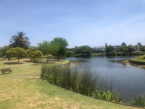 Imagen 11 de 18 de Venta Lote En La Alameda