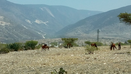 Venta 5.7 Hectareas En Vizarron De Montes. Zona Industrial De Marmol Y Cal.