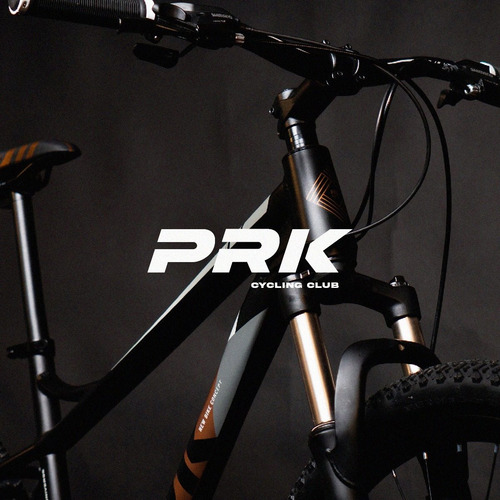 Mountain Bike Instinct R29 21v