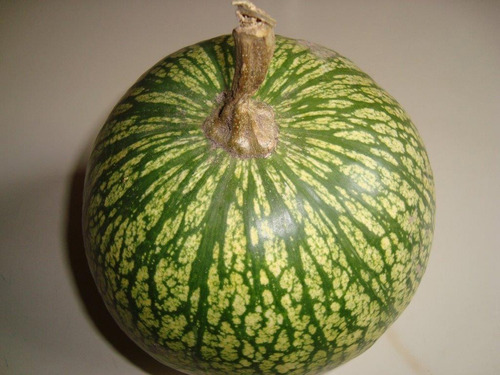 Imagen 5 de 8 de Mermelada De Alcayota. Dulce De Alcayota 450 Grs Alma Nativa
