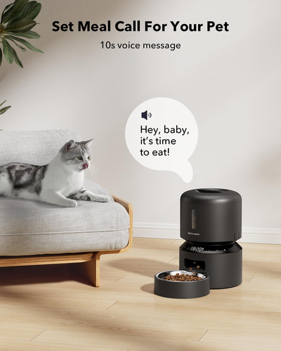 Petlibro Comedero Automático Para Gatos Dispensador De