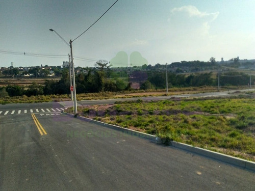 Imagem 4 de 4 de Terreno, Residencial Parque Industrial, Salto. - Te08560 - 34600206