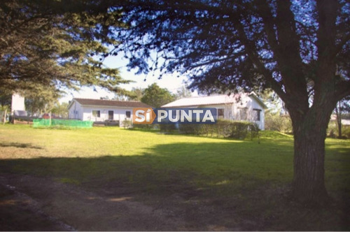 Imagen 6 de 30 de Chacra Importante En R. 39 Con 700 M2. Construidos