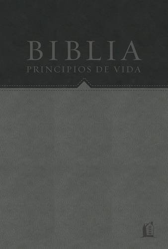 Biblia De Estudio Principios De Vida Piel Negra Gris