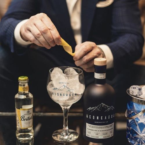Imagen 2 de 8 de Gin Aconcagua Coleccion Special Edition Botella Blanca Verde