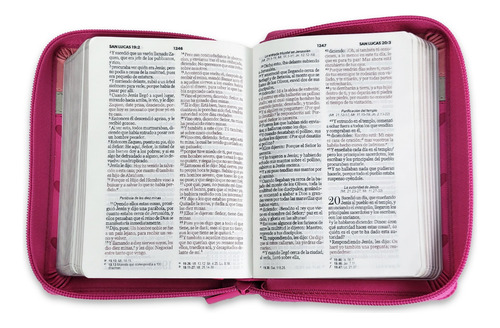 Biblia De Bolsillo Con Cierre Rv1960 Imit Piel Fucsia/blanco