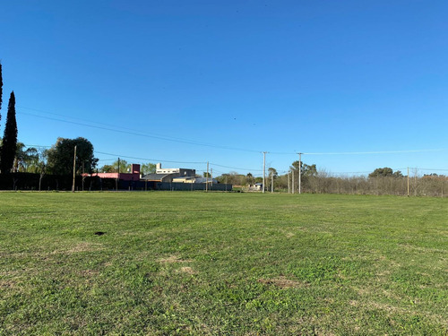 Terreno En Venta En Lobos