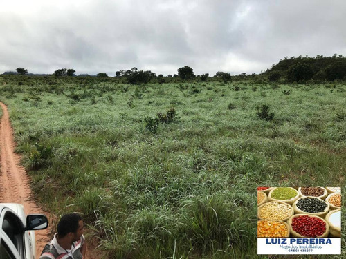 Imagem 11 de 15 de Fazenda À Venda Em Recursolândia - Ms - De 1.041 Alqueirões - 1648