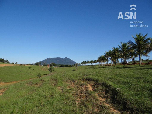 Imagem 17 de 19 de Terreno À Venda, 360 M² Por R$ 64.800,00 - Vila Verde - Rio Das Ostras/rj - Te0242