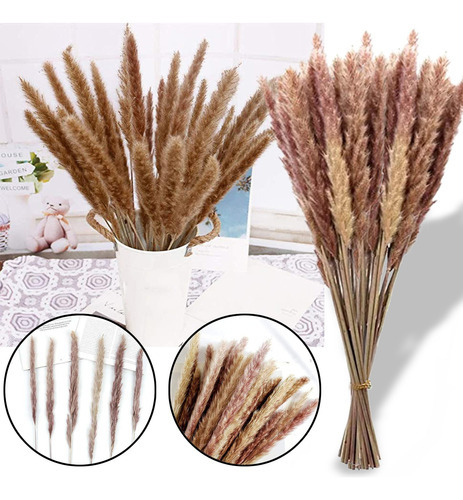 Jarrones de flores secas G, 50 unidades, para decoración en seco, ramo, color A