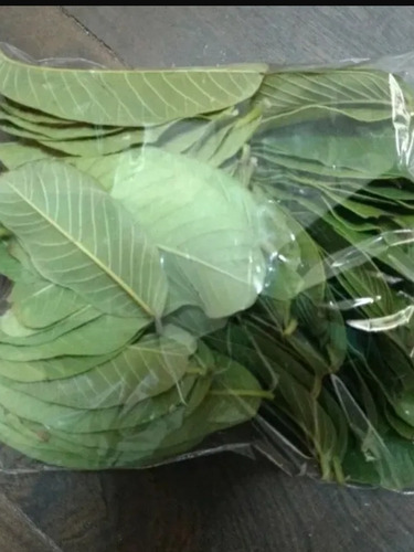Guayabas Para Infucion