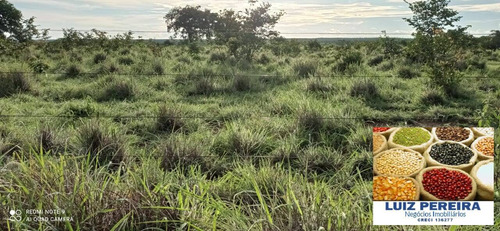 Imagem 5 de 15 de Fazenda À Venda Em Figueirópolis - To - De 114 Alqueirões (dupla Aptidão) - 1672