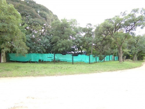 Imagen 5 de 7 de Terreno Con Mejoras En Km 3 De Rincon