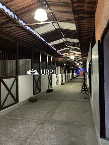 Hermoso Hípico San Luis Con 2 Casas