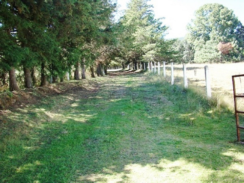 Imagen 9 de 14 de Excelente Rancho En Venta En Temascalcingo