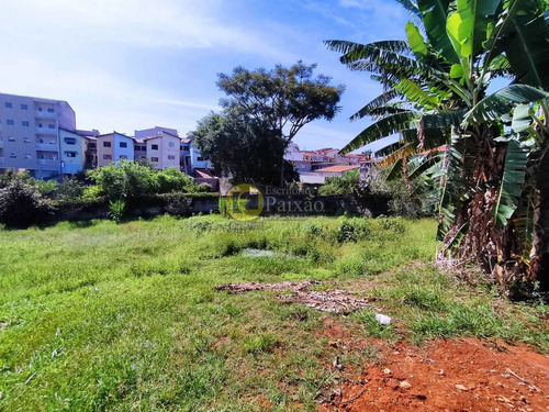 Imagem 13 de 19 de Área, Alto Ipiranga, Mogi Das Cruzes - R$ 5 Mi, Cod: 152001 - V152001