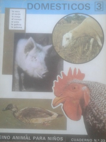 Domésticos 3 Reino Animal Para Niños Cuaderno N° 23