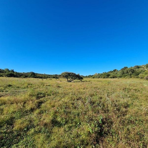Imagen 18 de 20 de Chacra En Venta, Villa Giardino, Córdoba.