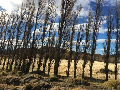 Agrícola En Venta En Chile Chico