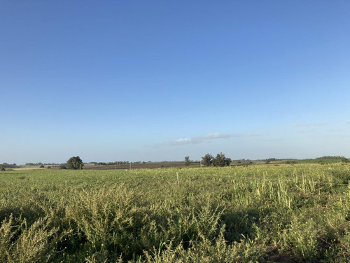 Imagen 6 de 14 de Campo De Casi 12 Hás En Ruta 40