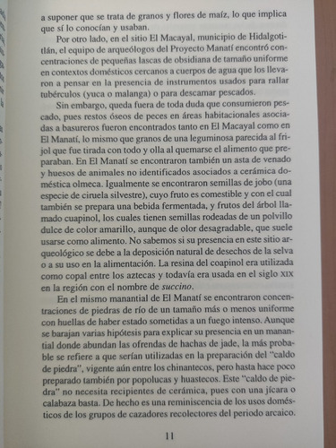 Recetario Indígena Del Sur De Veracruz. Cocina Indígena Y Po