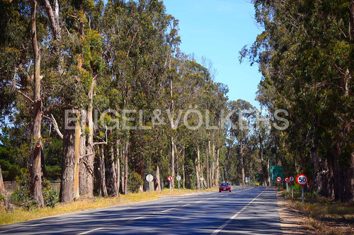 Sitio En Venta F90