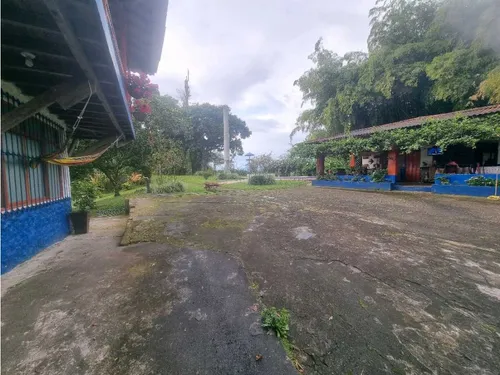 Finca De 3 Cuadras En Venta A 15 Minutos De Calarcá