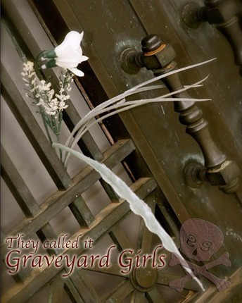 They Called It Graveyard Girls - D Shane Trotter