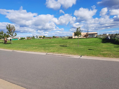 Imagen 12 de 17 de Venta 2 Lotes Juntos - San Sebastián Área 13