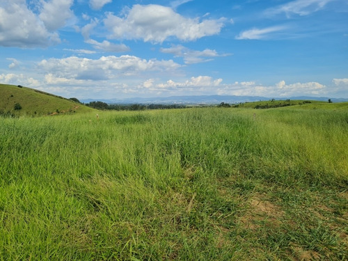 Imagem 6 de 8 de Chácara Rural Pindamonhangaba - Sp - Piracuama - Ch-11600