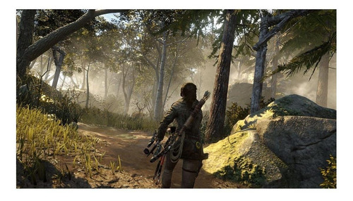 Rise Of The Tomb Raider Standard Edition Ps4 Físico (Usado)
