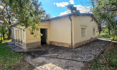 Venta Casa Con Gran Terreno San Rafael, Mendoza