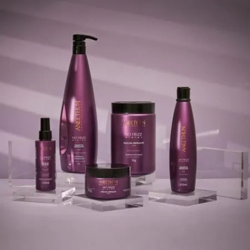 Aneethun No Frizz - Shampoo + Máscara + Leave In Antiumidade