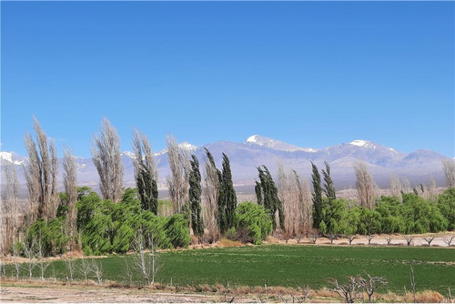 Finca 10 Has Con Casa Sorocayense