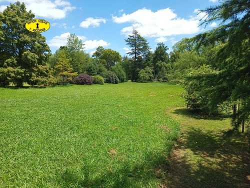 Imagen 2 de 9 de 3006hp- Venta Excelente Lote 2.149 M2 La Cañada Polo Club